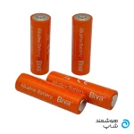 Biva BAT-01 Alkaline Battery(3)